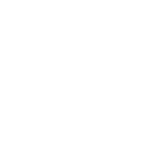 icone-wordpress